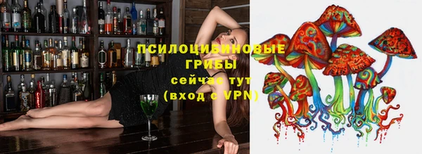 ECSTASY Бронницы