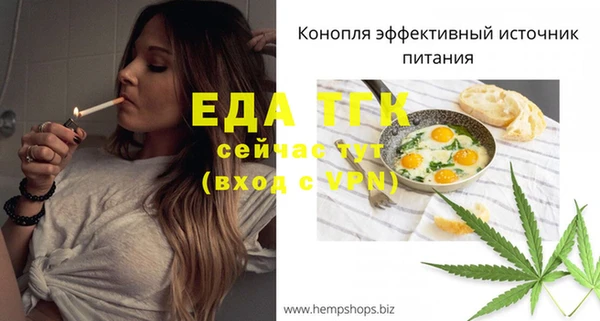 дживик Верхний Тагил